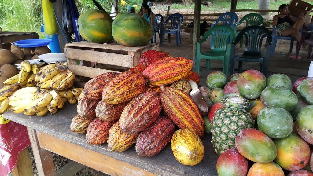 Hostal Maravilla Amazonica イキトス エクステリア 写真